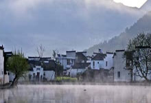 澳门茶叶市场攻略